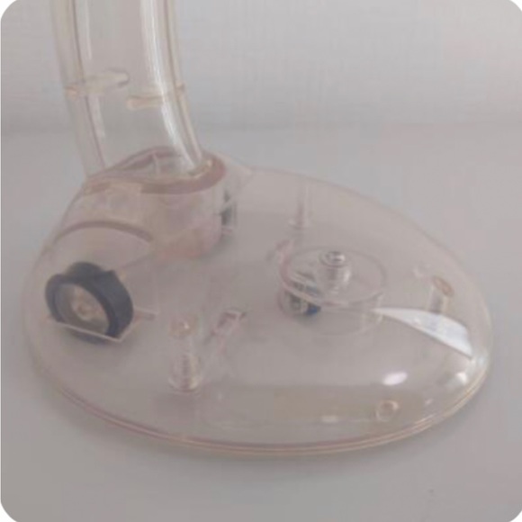 Eve - Picture 6 of 8